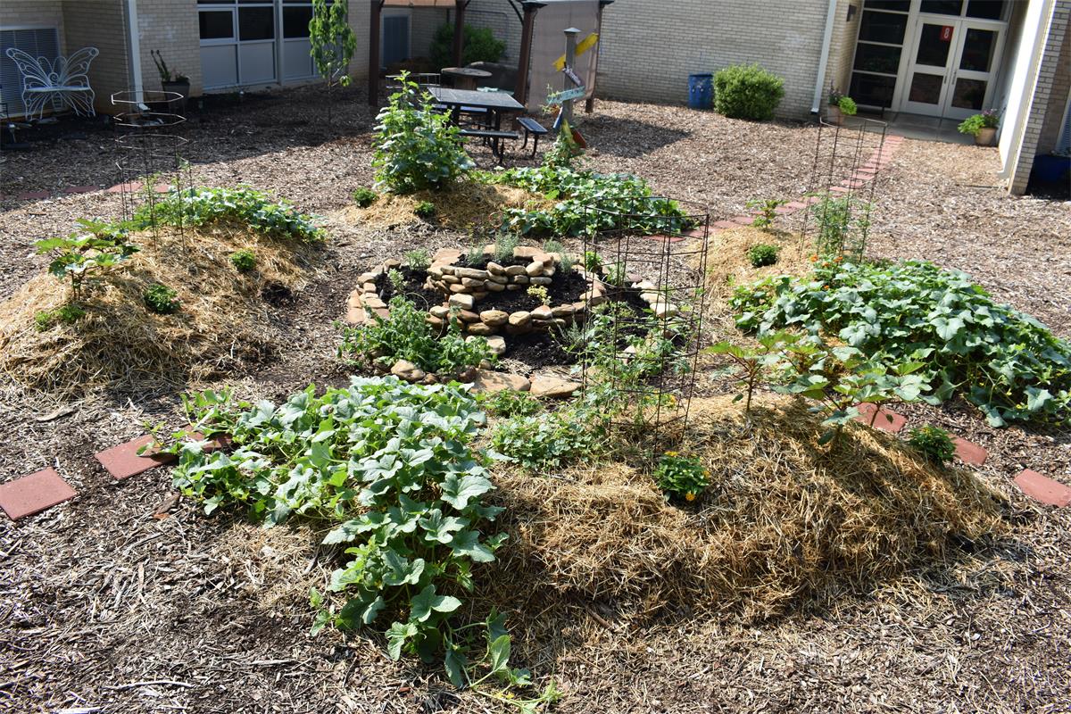 4 raised beds with no bed edge and an herb spiral in the center.