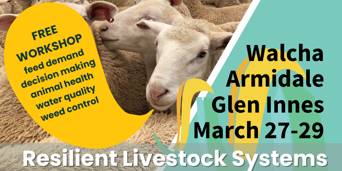 Resilient Livestock Systems Glen Innes NSW Landcarer