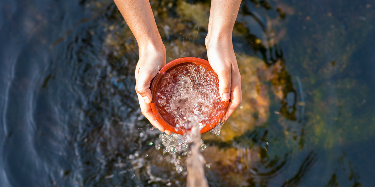 World Water Day Landcarer