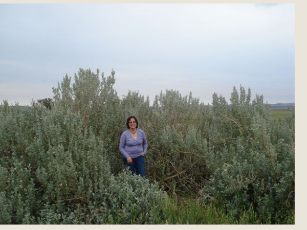 Nicki Laws Legacy article 1005.PNG