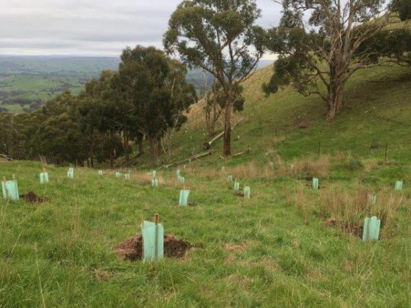 Brookes PT site above (1).jpg