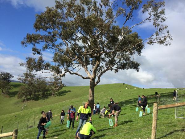 Yea HS planting day 2019 (4).JPG