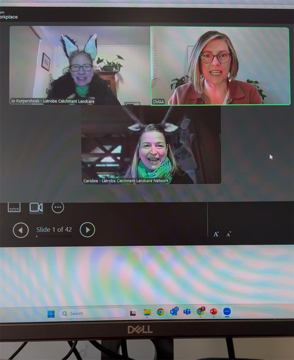 Three women on a Zoom call, One is dressed as a cat, the other as a deer. 