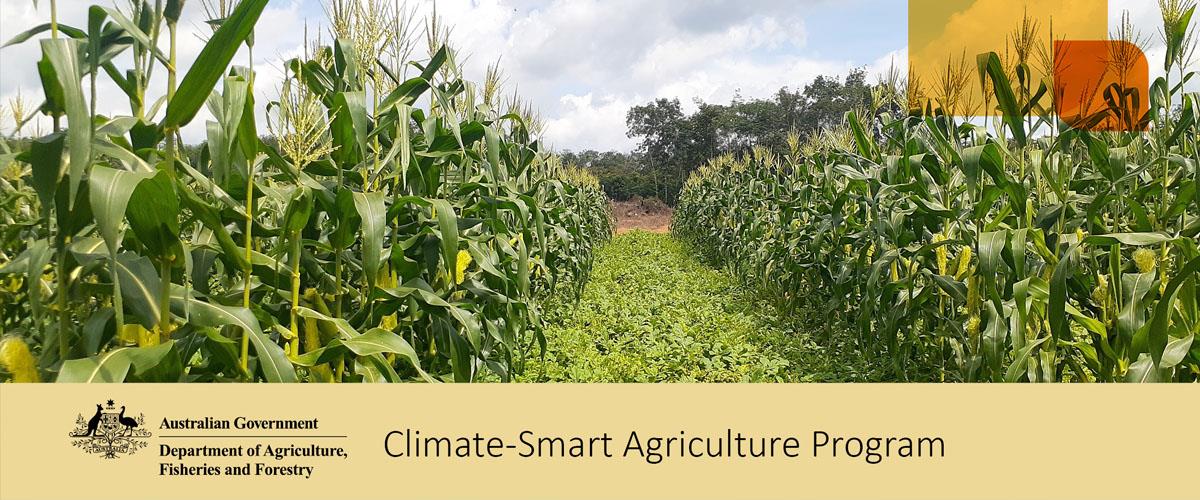 Image of corn fields