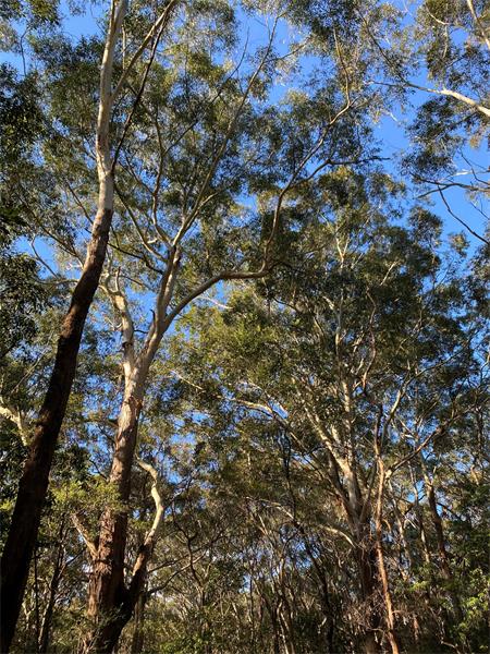 The view from out the front!