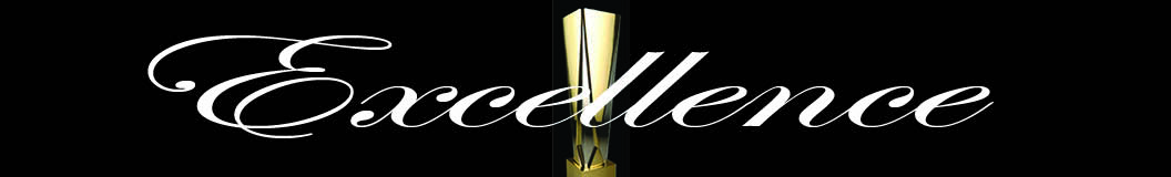 Awards for Excellence Program