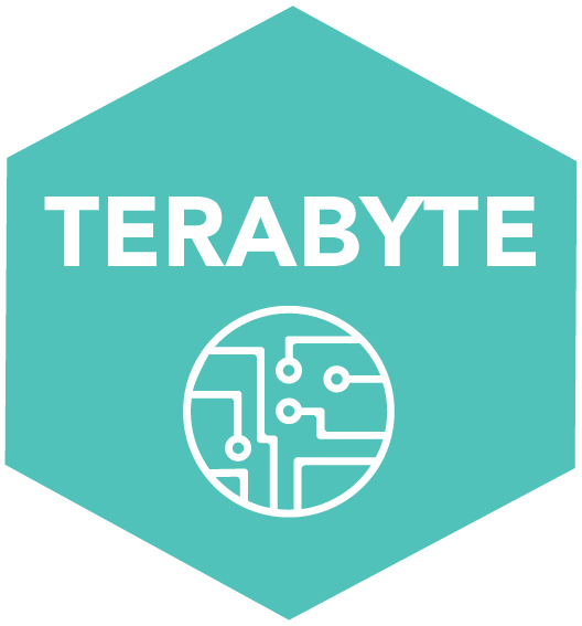 terabyte sponsor icon.png