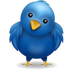 Twitter bird.jpg