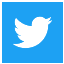Twitter Icon Medium Square