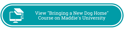 Button to view  Maddie's University course: 