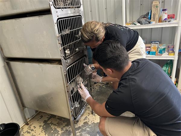 Military working at humane society