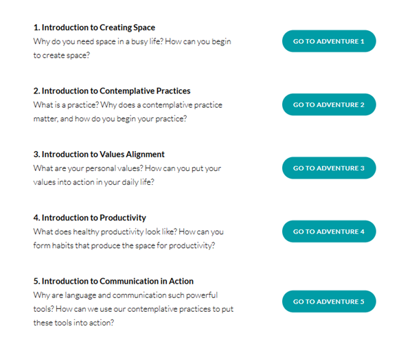 The Journey You Own: Practices for Wellbeing and Productivity is an introductory course designed like a 