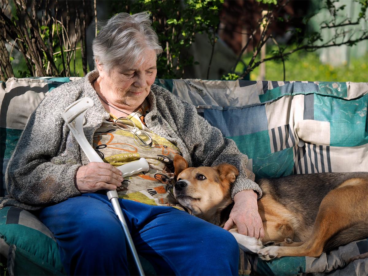 The dog and the old woman in the village, relaxing at their summer cottage. Gray old woman with a stick. Hugs dog.
