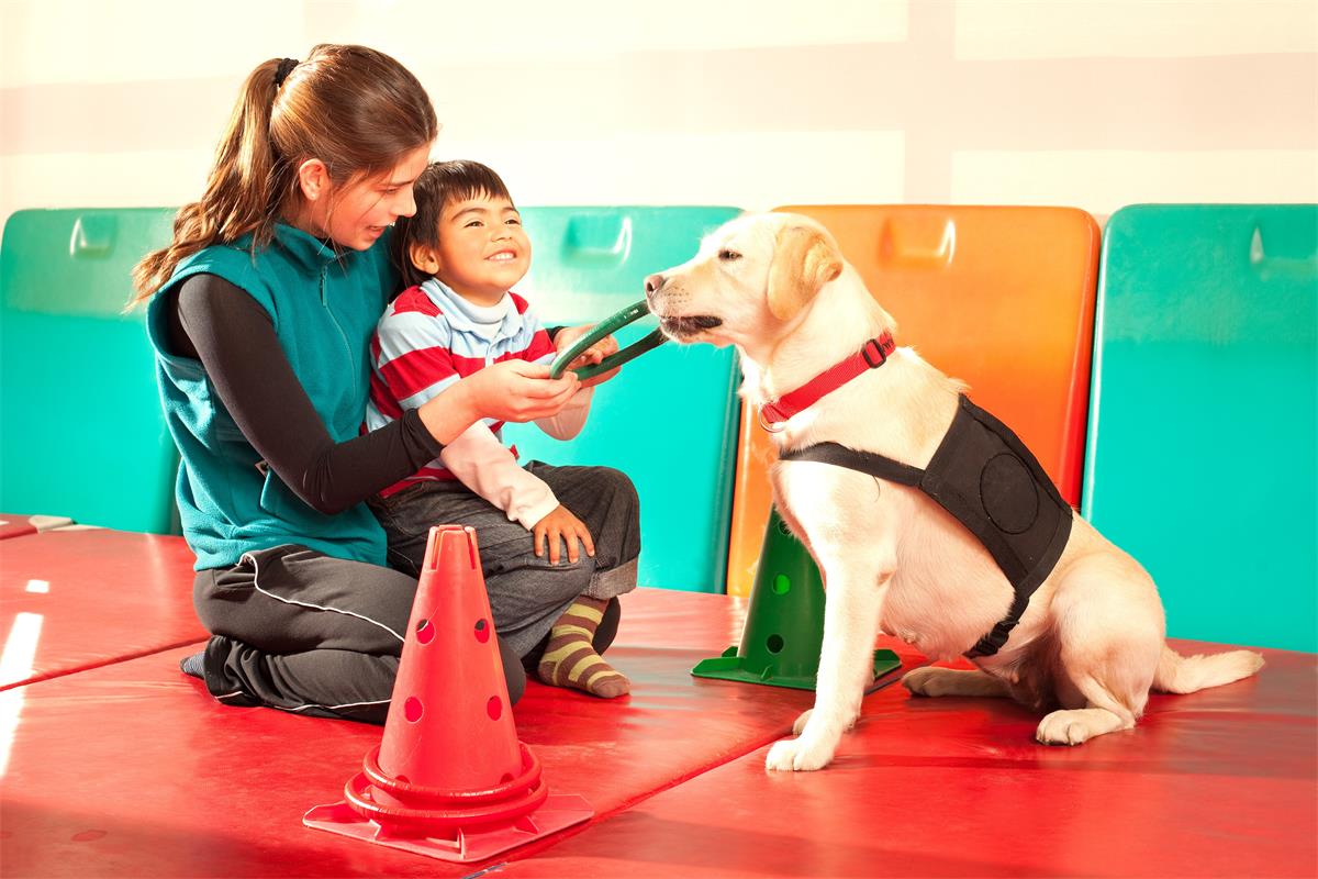 Service Dog training with a child