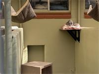 they seem to like them!