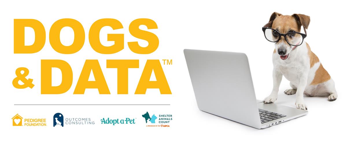 Logo for Dogs & Data