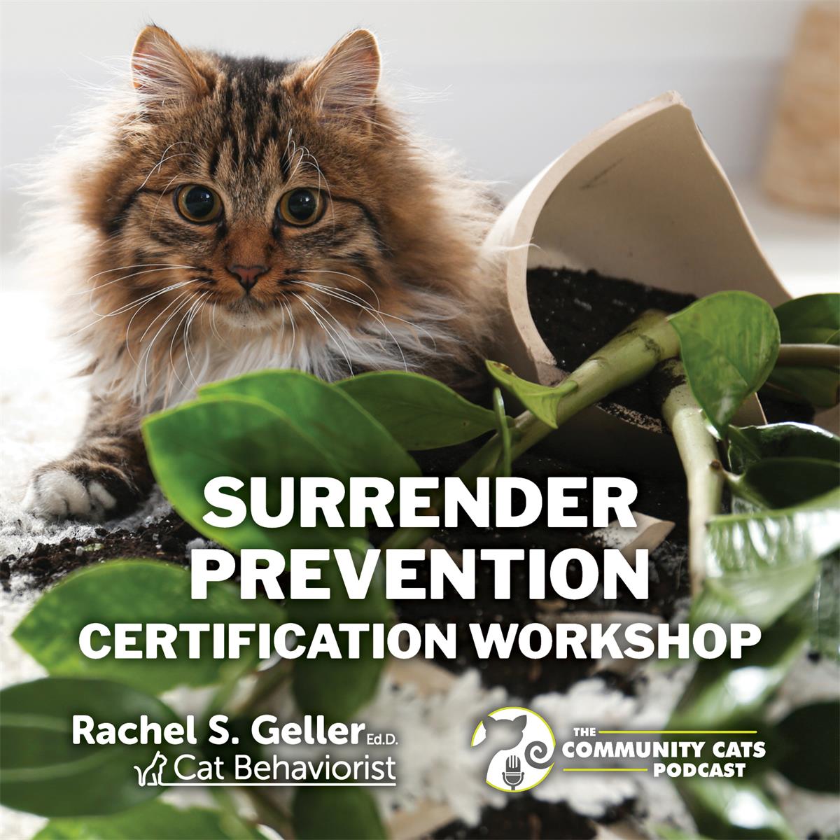 Surrender Prevention Certification Workshop