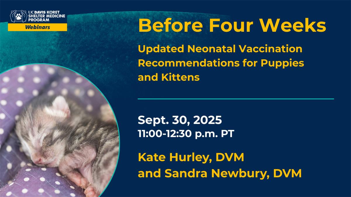 Announcement about a webcast focussing on vaccination protocols for neo-natals.