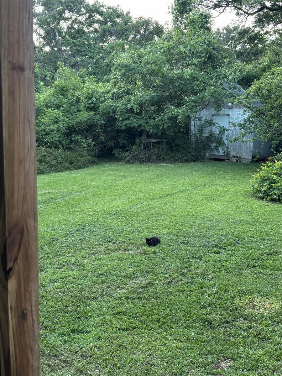 Home for sale