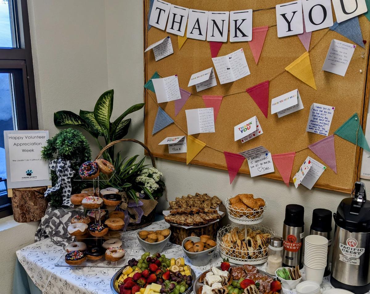 breakfast bar for volunteers