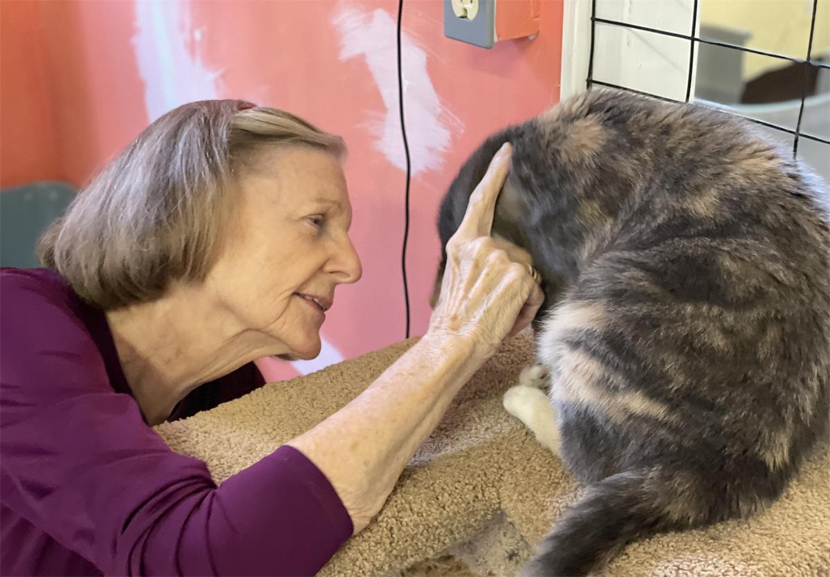 woman petting cat