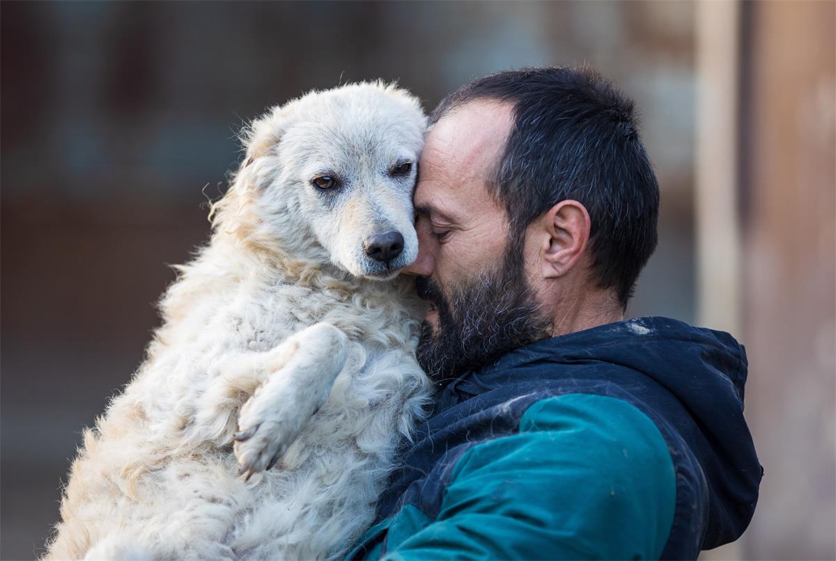 Man and dog showing the Human Animal Bond