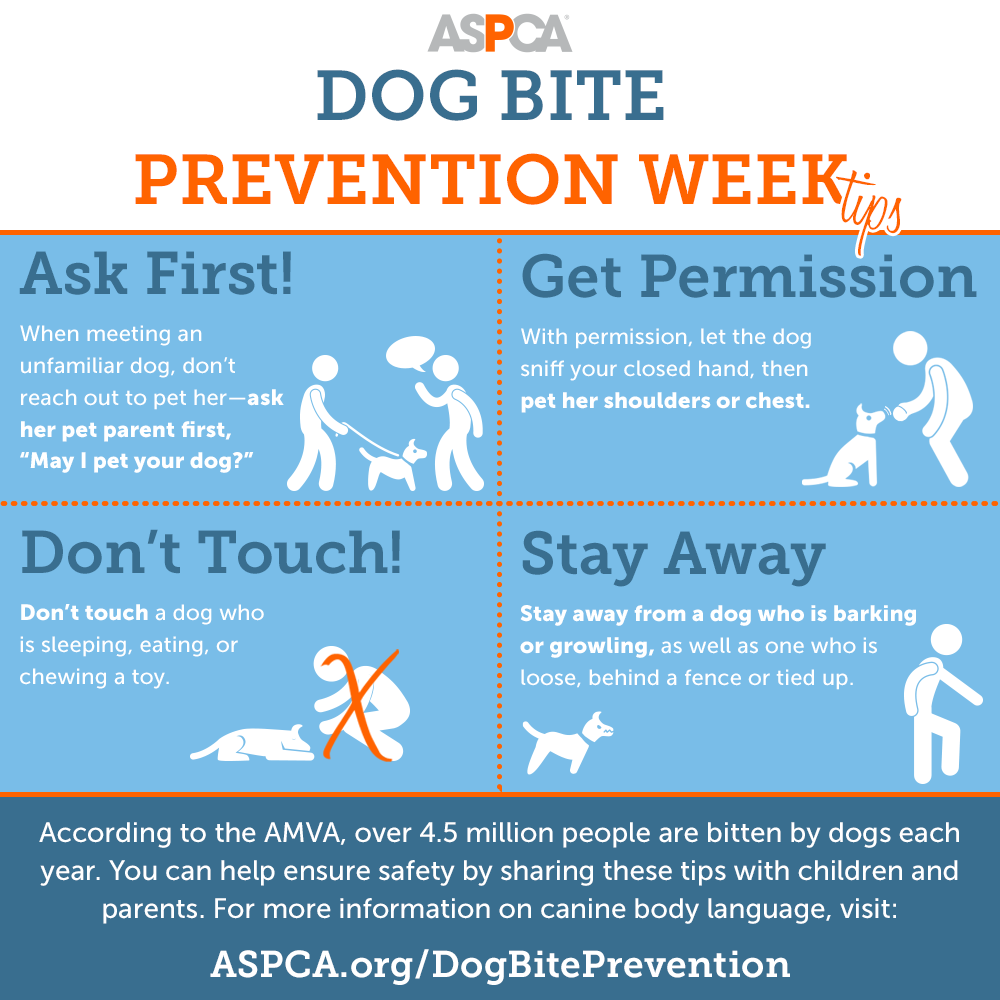 Dog Bite Prevention Tips