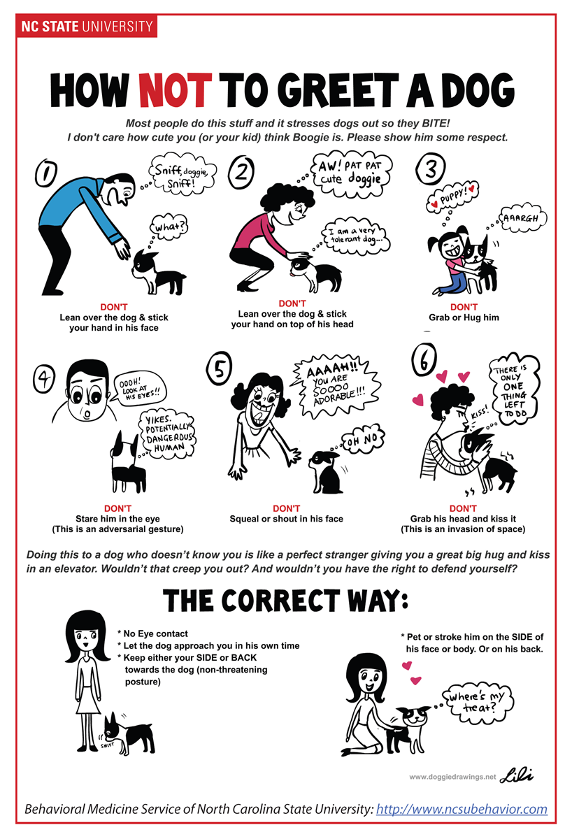 How NOT to Greet a Dog