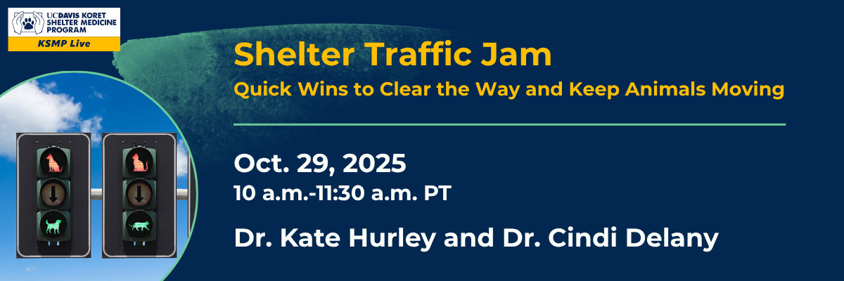 Shelter Traffic Jam Webinar 10/29/25