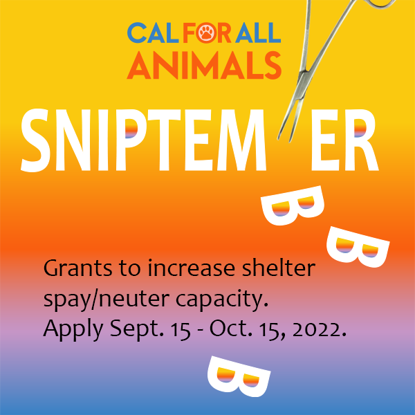 Sniptember graphic with surgical tool and sunrise gradient background