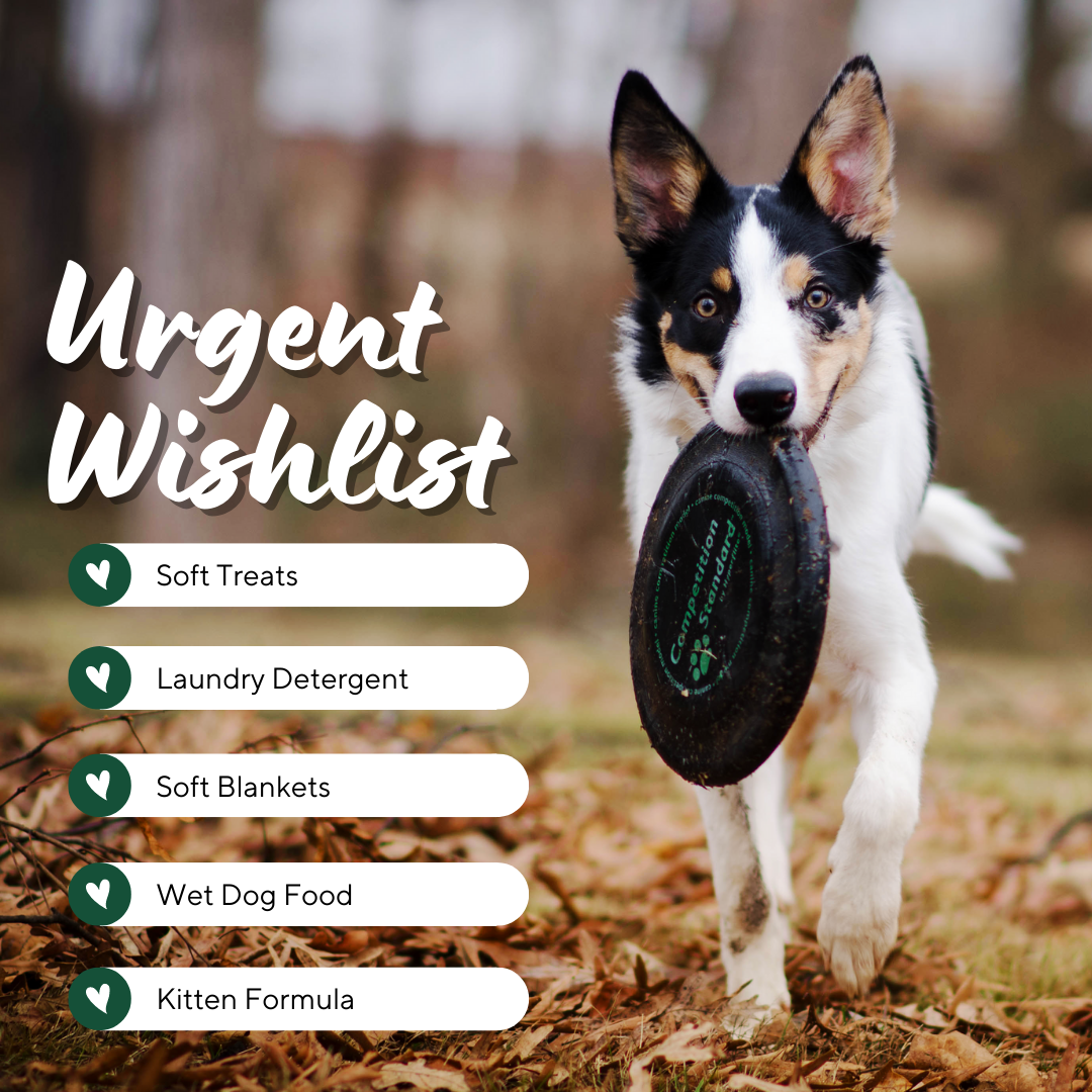 Gently but clearly defines needed items