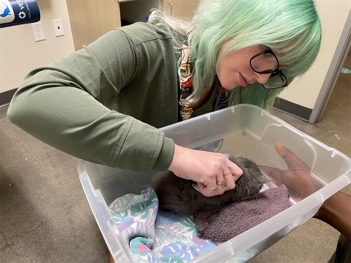 We took Bagheera, our little special needs kitten, to his first vet visit immediate following his rescue. Our vet, Dr. Youngblood, took amazing care of him and we have already begun building a long term care and advanced medical treatment plan for him.