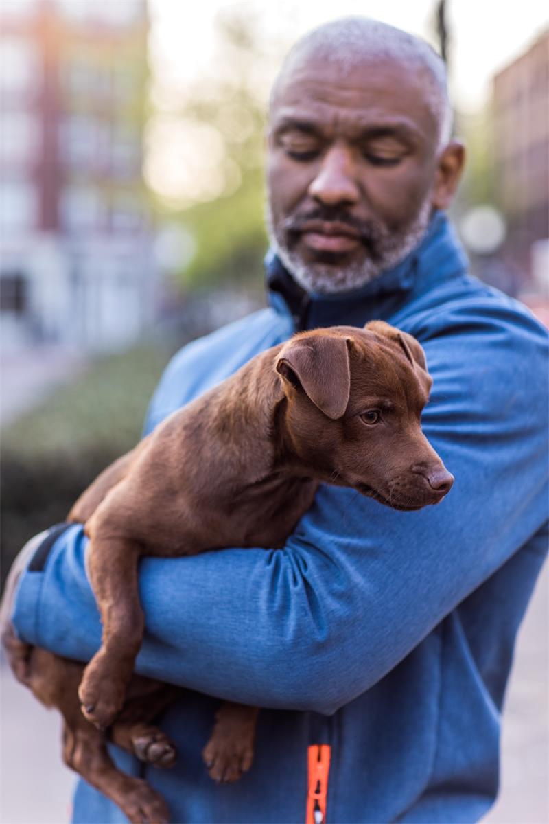 A man is concerned for his dogs health A man is concerned for his dogs health