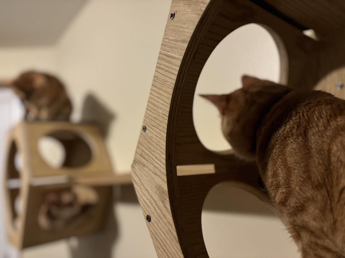 The cubes provide separation and also opportunity to interact and play but always route to escape