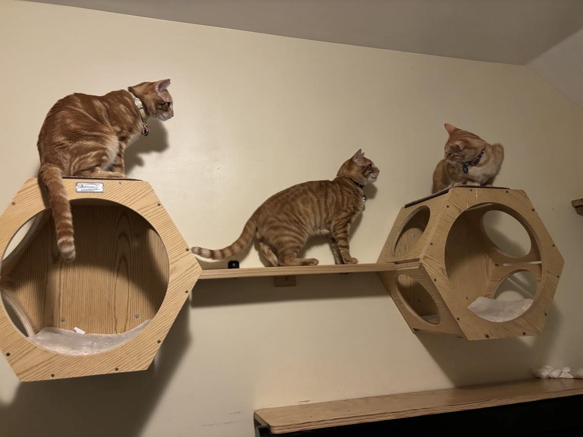 on off ramps and cubes to go from one side of the room to the other