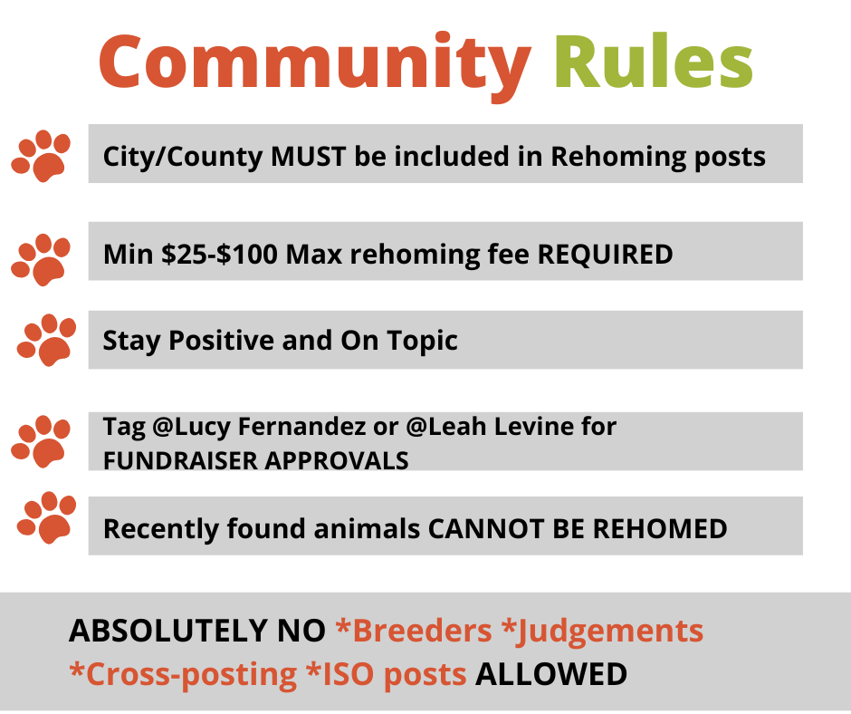 Recent Facebook Community Standard Updates Implementing Restrictions on