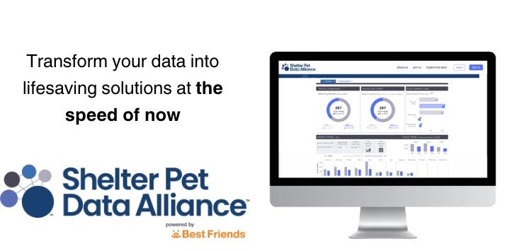 $200,000 in grants available! | Animal Welfare Professionals