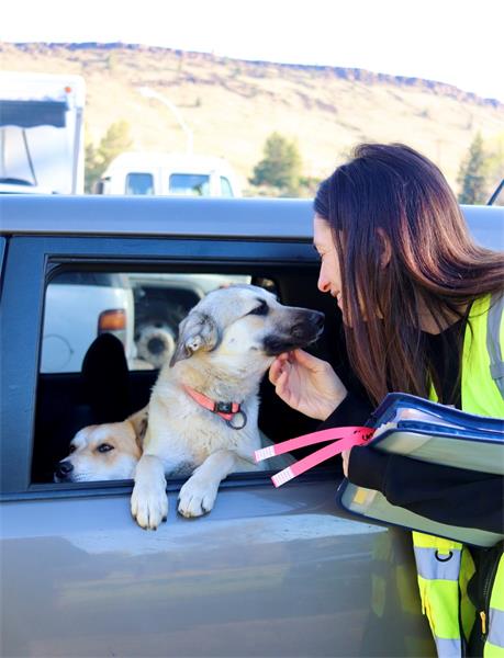 Frontline In Focus Award Example - Snippy Awards