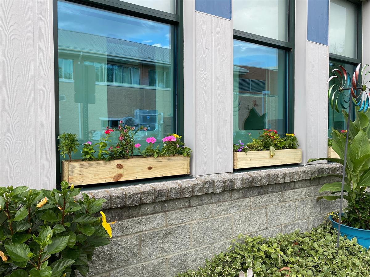 Made by scouts for cat enrichment outside the cat room windows