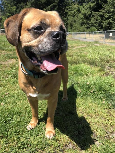 Deacon living his best life