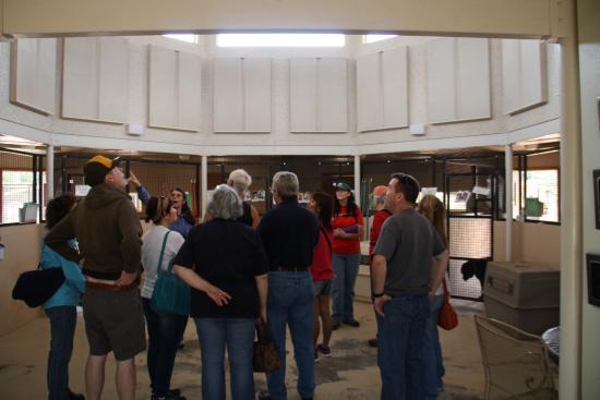 The center of the octagon is removed in this photo but that is where food is prepared, and serves as a storage space. You can see the kennels in the background