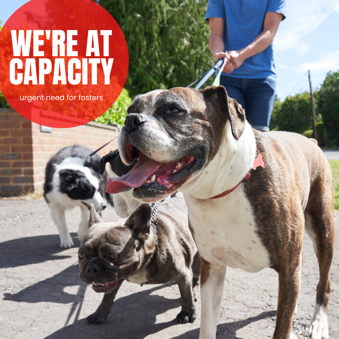 Used to Emphasize Current Capacity Status