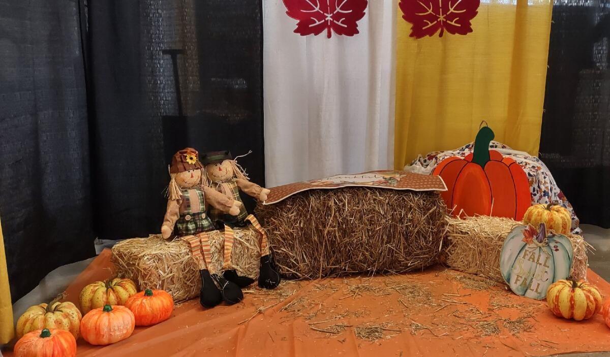 Our set up last year