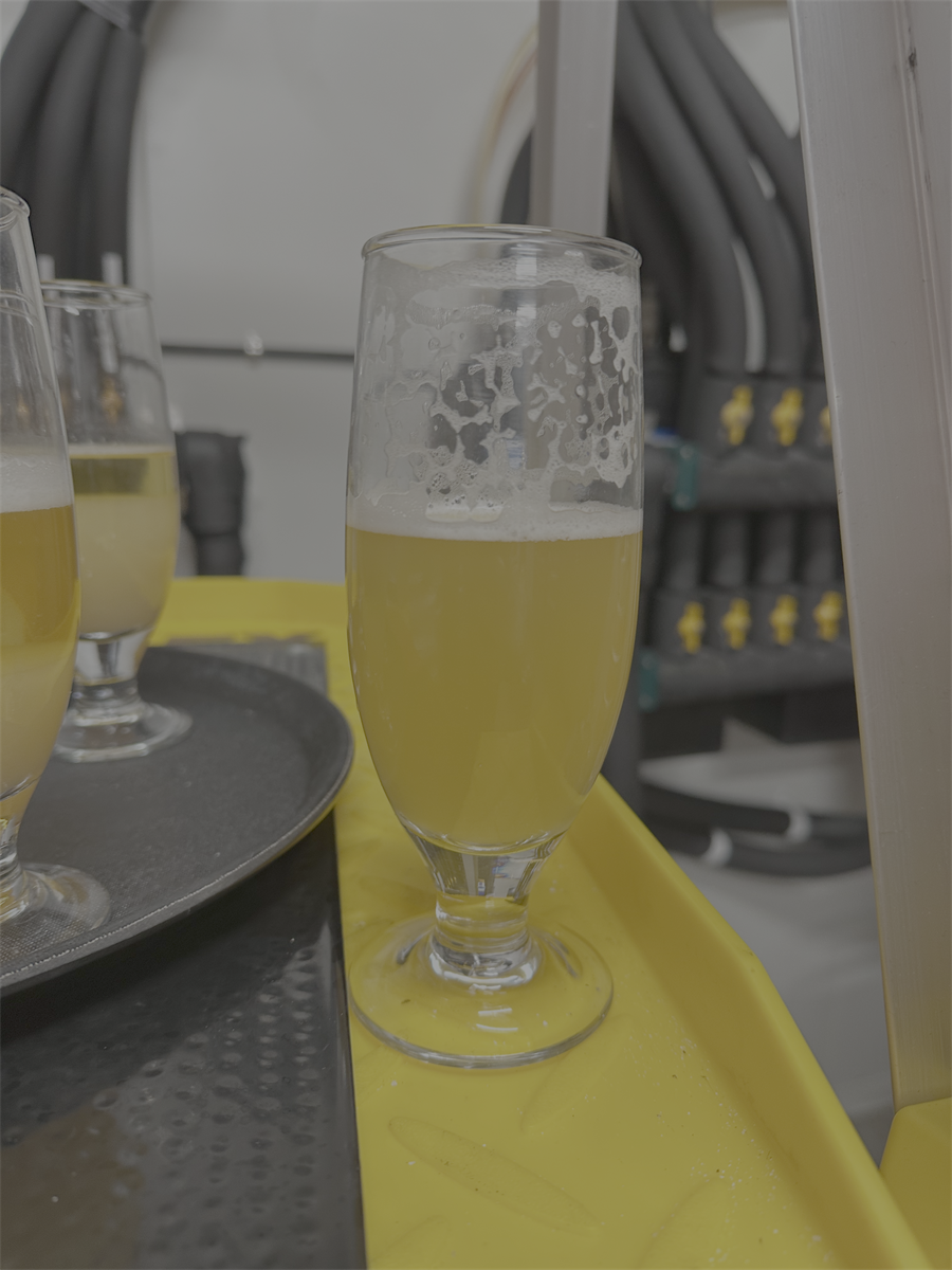 Control with no extra added A3