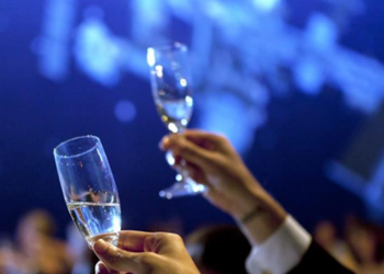 Awards Banquet toast at the Air Zoo