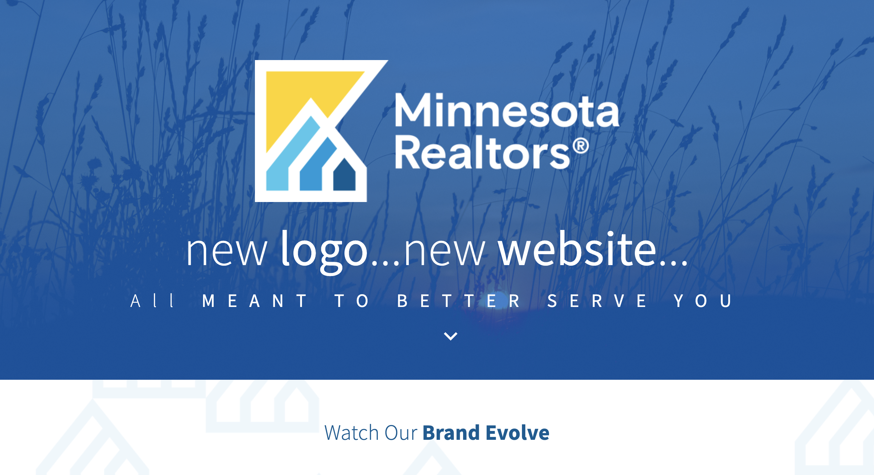 New Minnesota Realtors Website