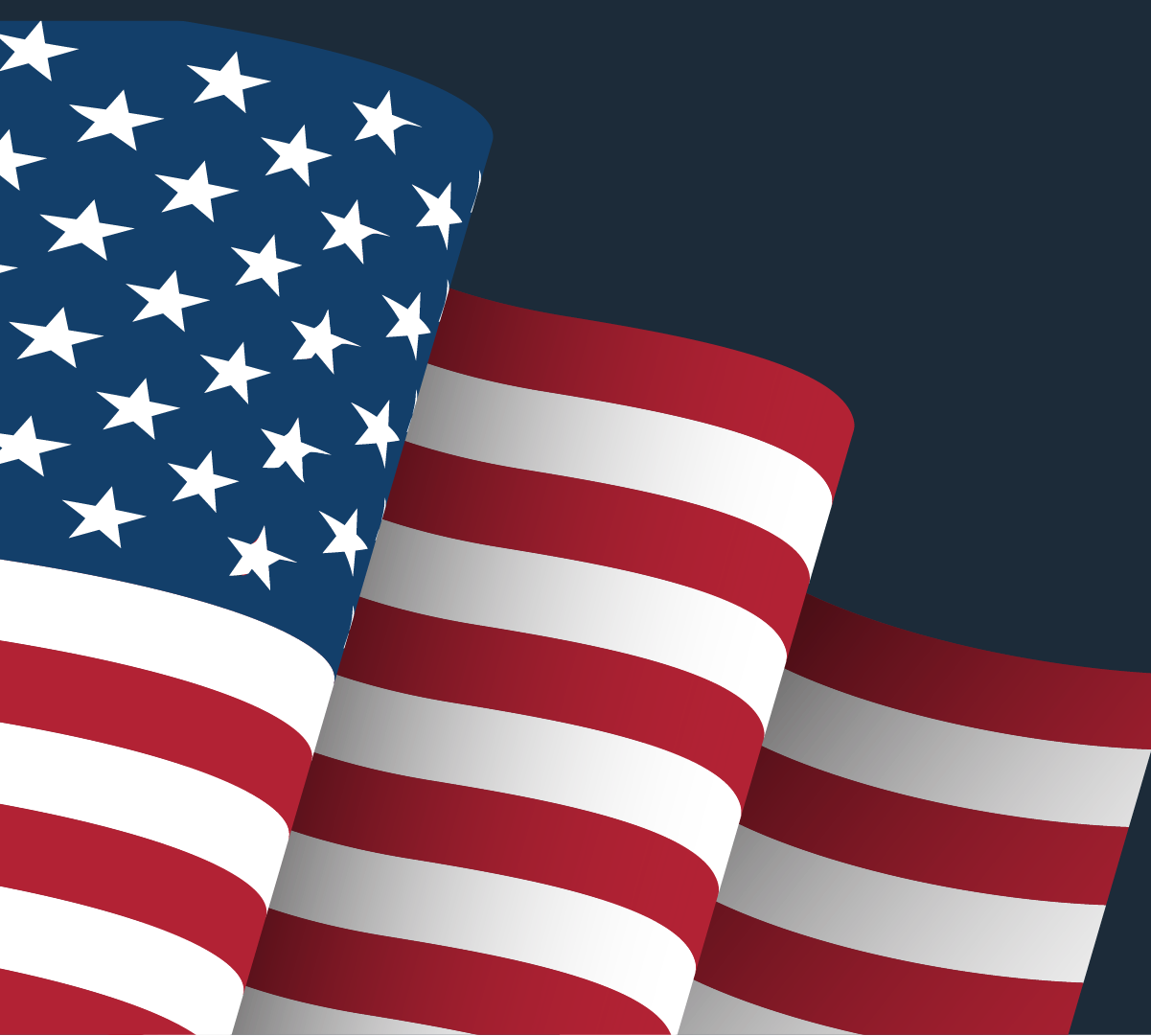 United States of America Flag