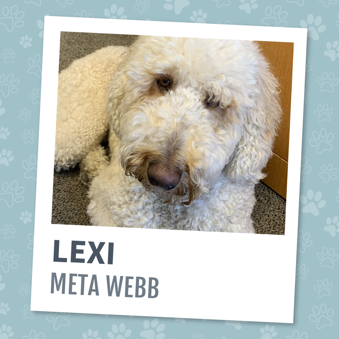 Lexi