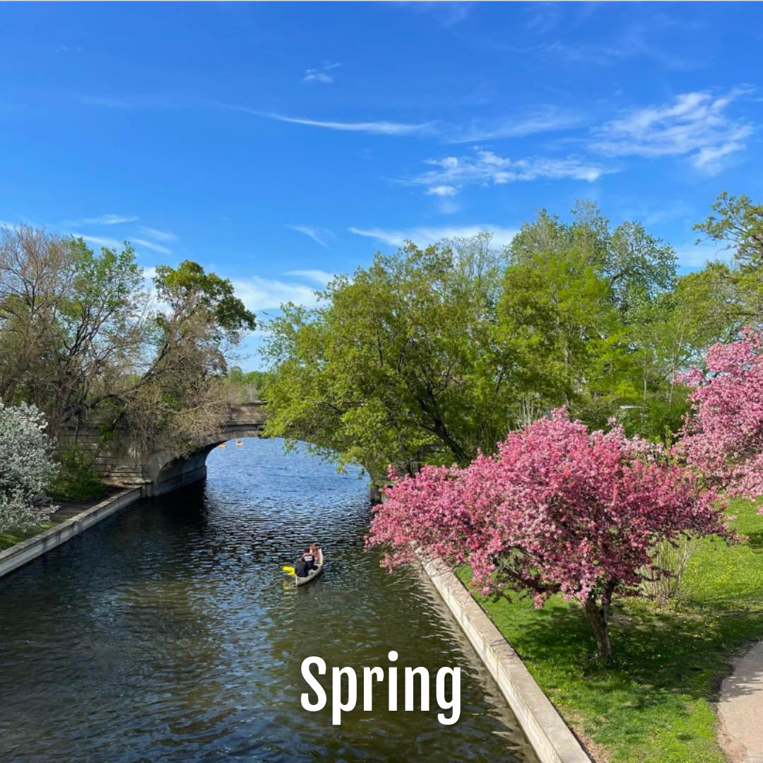 Image of a kayak on a lake featuring bright greenery and a blooming pink tree in the spring