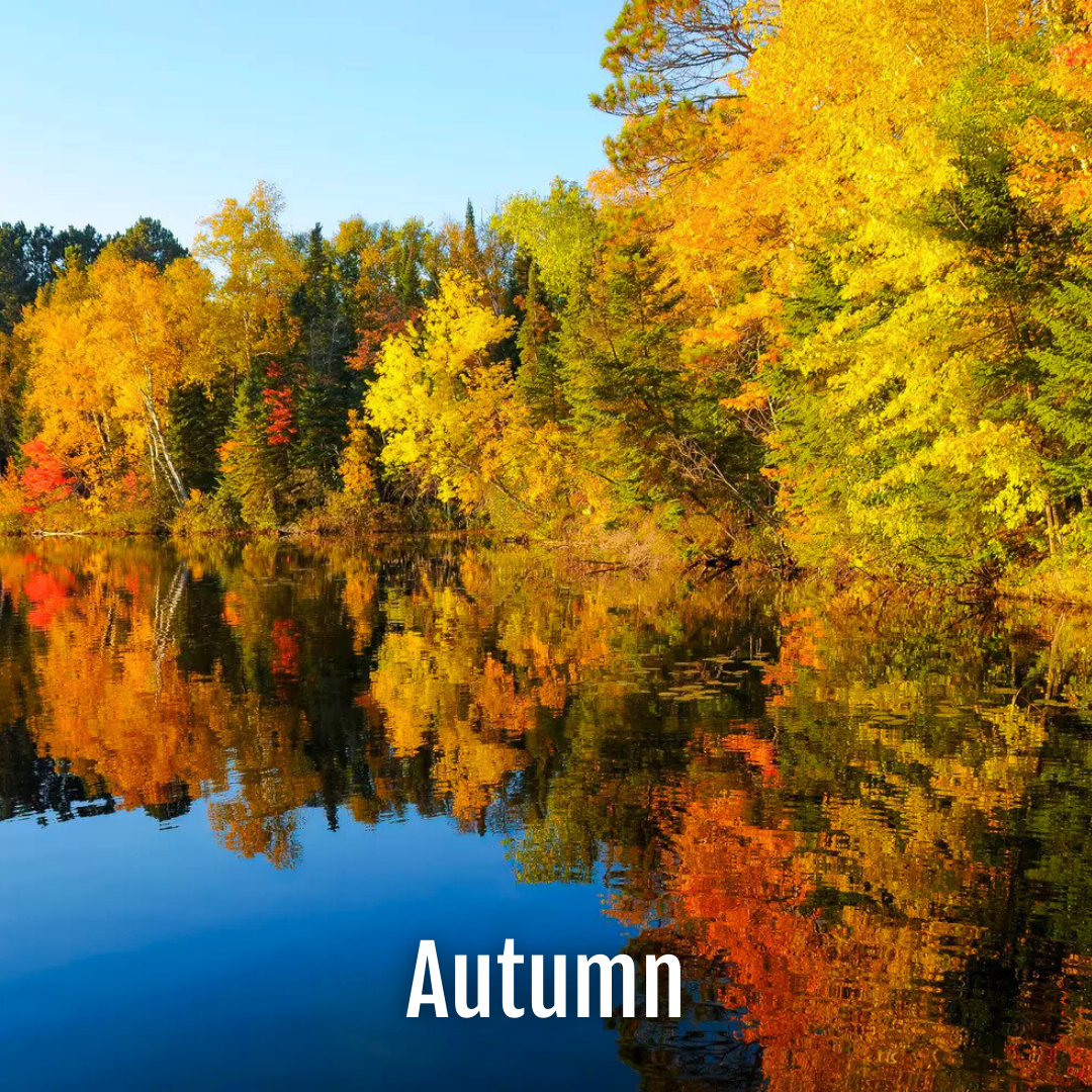 Fall foliage in minnesota reflects on a calm lake